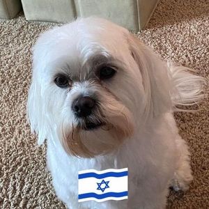 Meet your Posher, Brenda